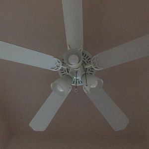 Meet your Posher, Nora